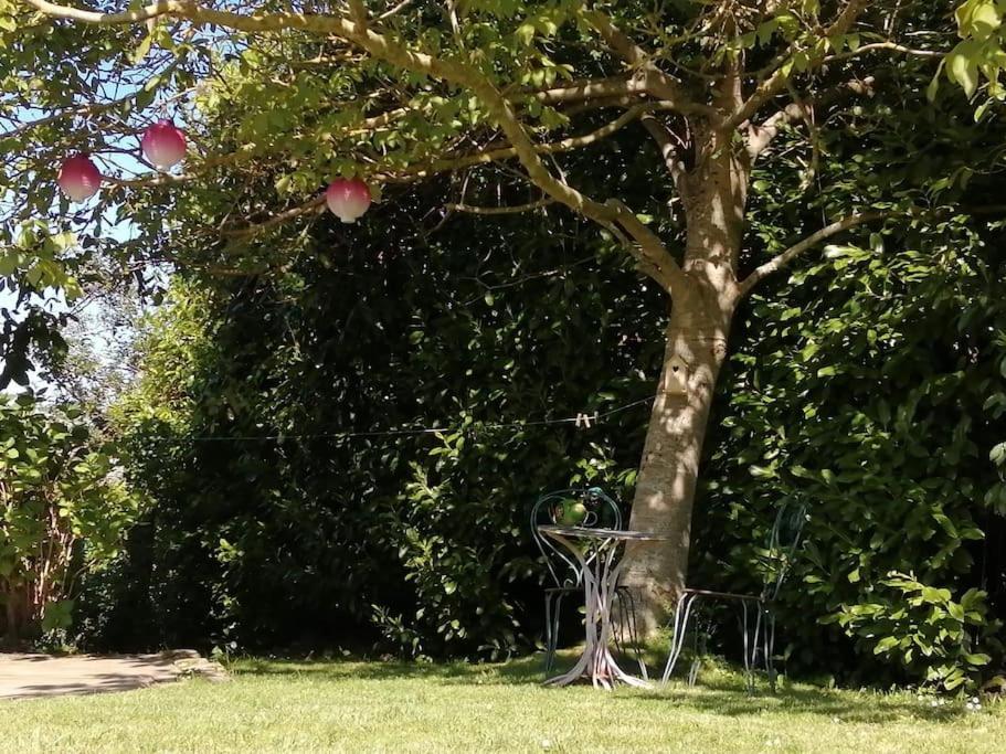 Le Gite D'Eva Honfleur Bagian luar foto