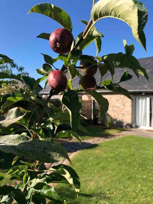 Le Gite D'Eva Honfleur Bagian luar foto