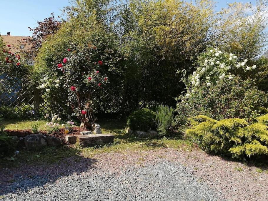 Le Gite D'Eva Honfleur Bagian luar foto